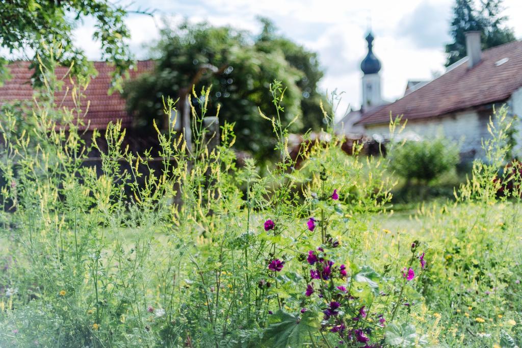 Historischer Pfarrhof Niederleierndorf Langquaid Екстериор снимка